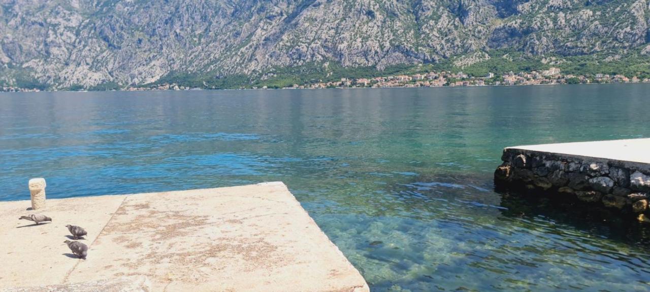 Apartman Katarina Kotor Exterior photo